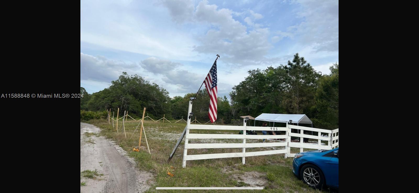 Land, Lake Placid, Florida image 6