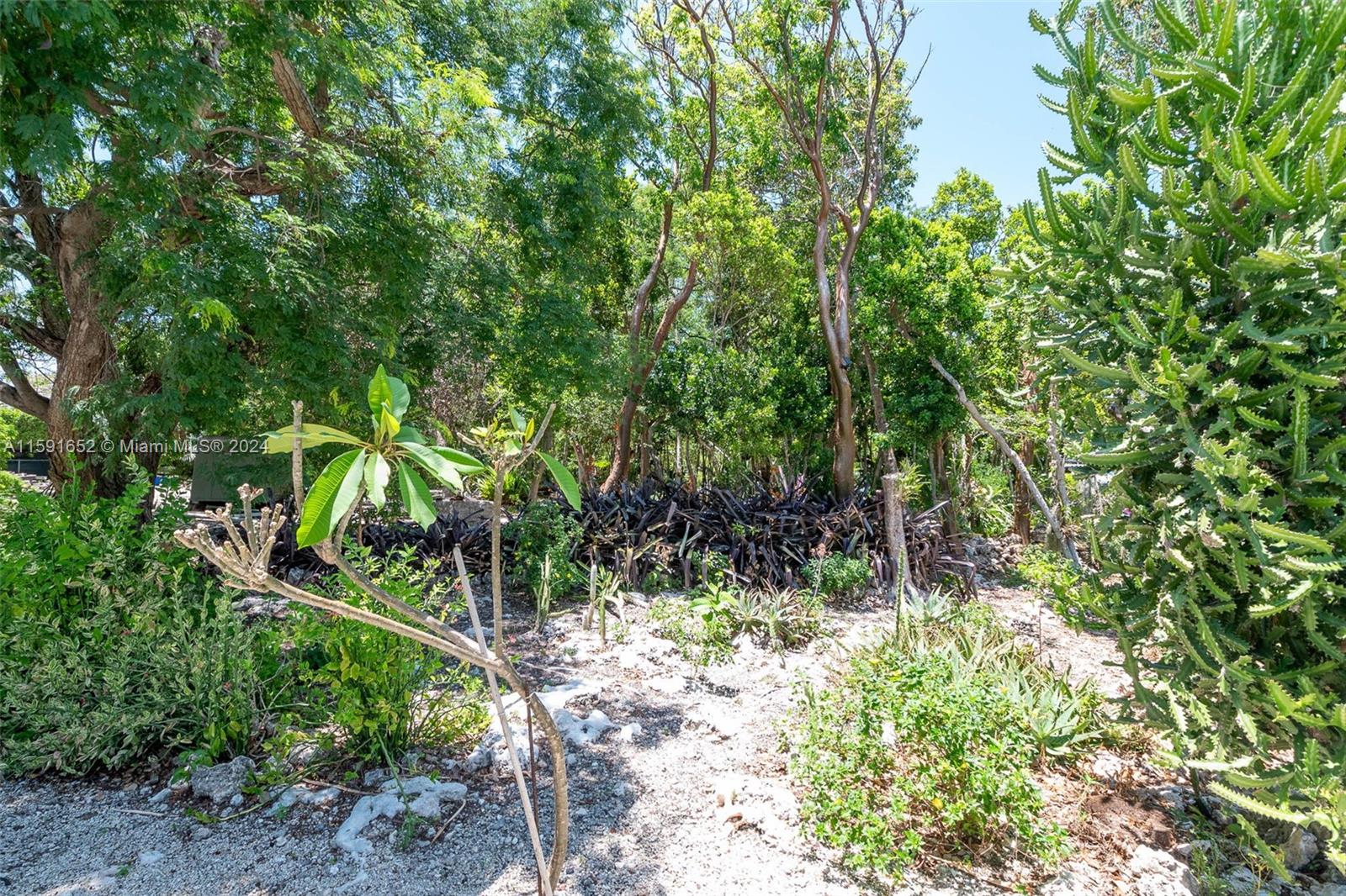 306 Lime St, Key Largo, Florida image 36