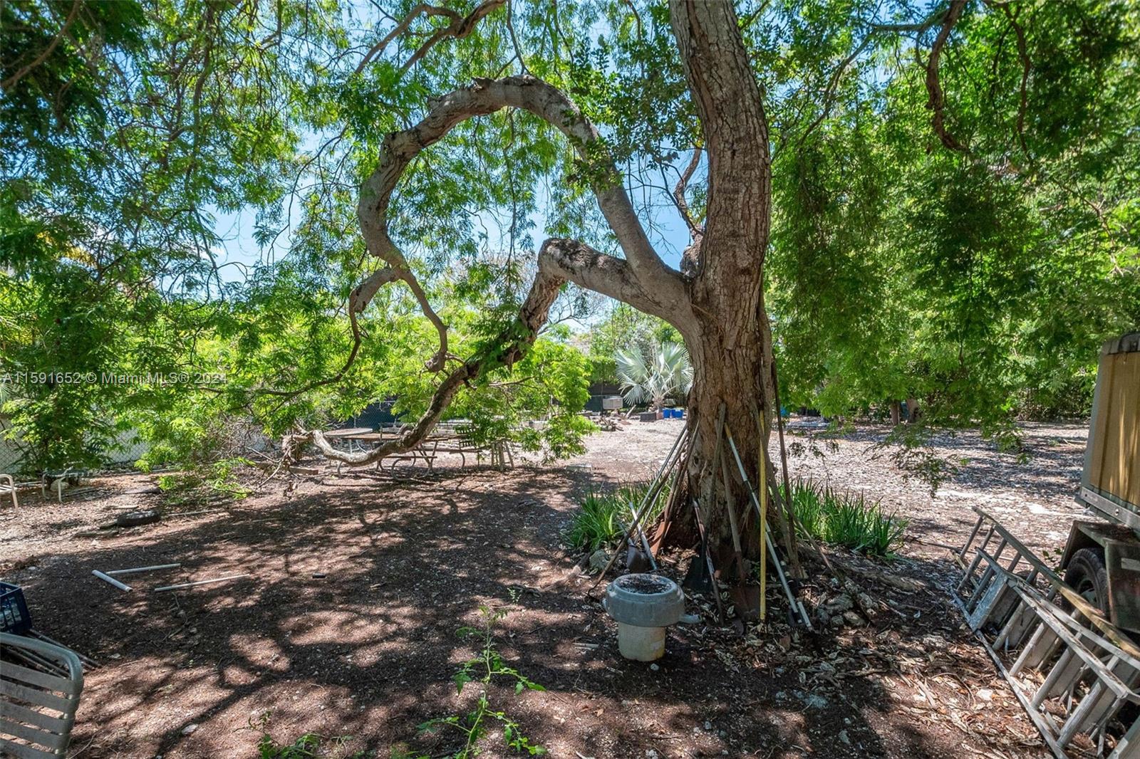 306 Lime St, Key Largo, Florida image 37