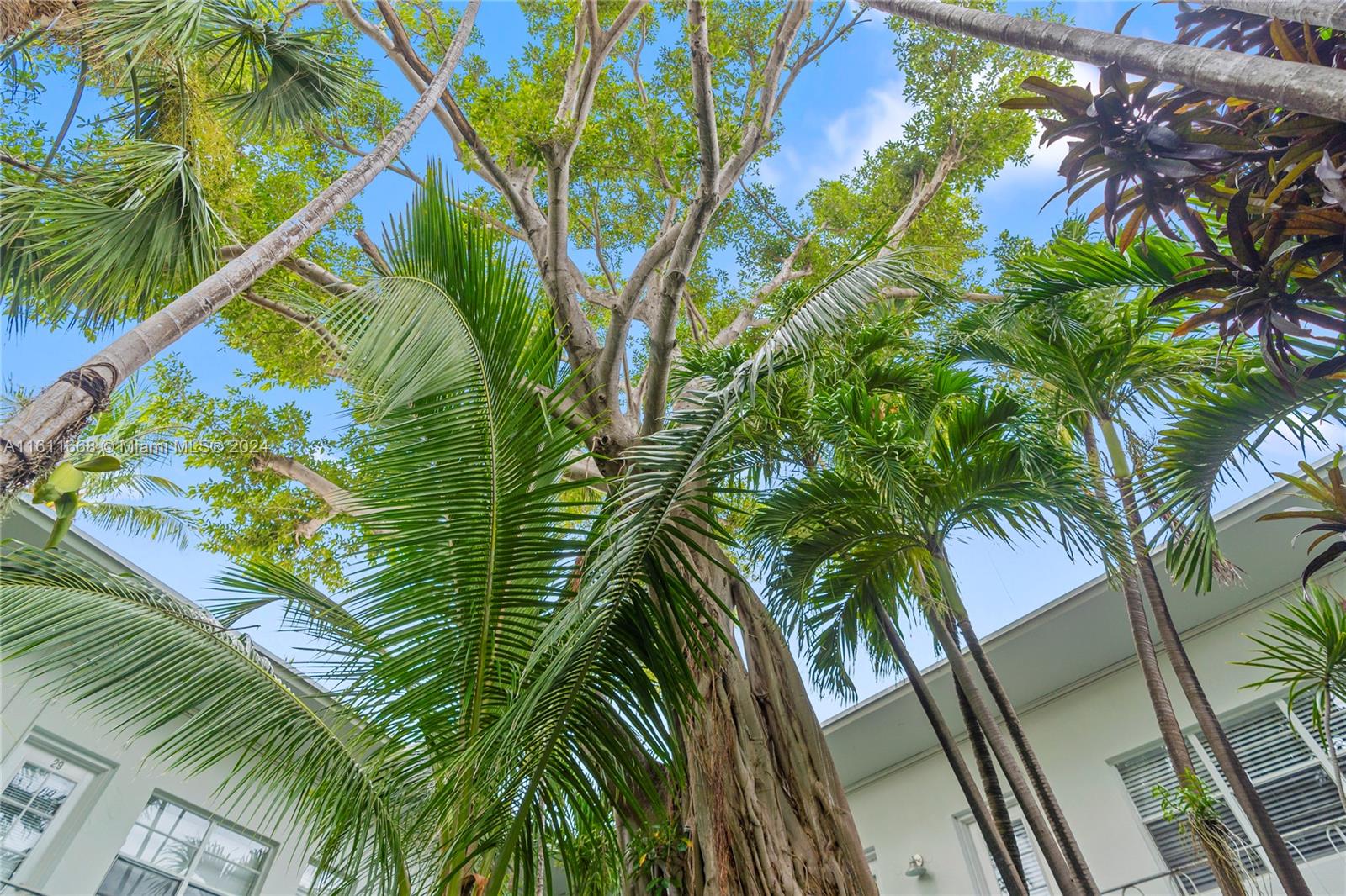 1925 Washington Ave #8, Miami Beach, Florida image 19