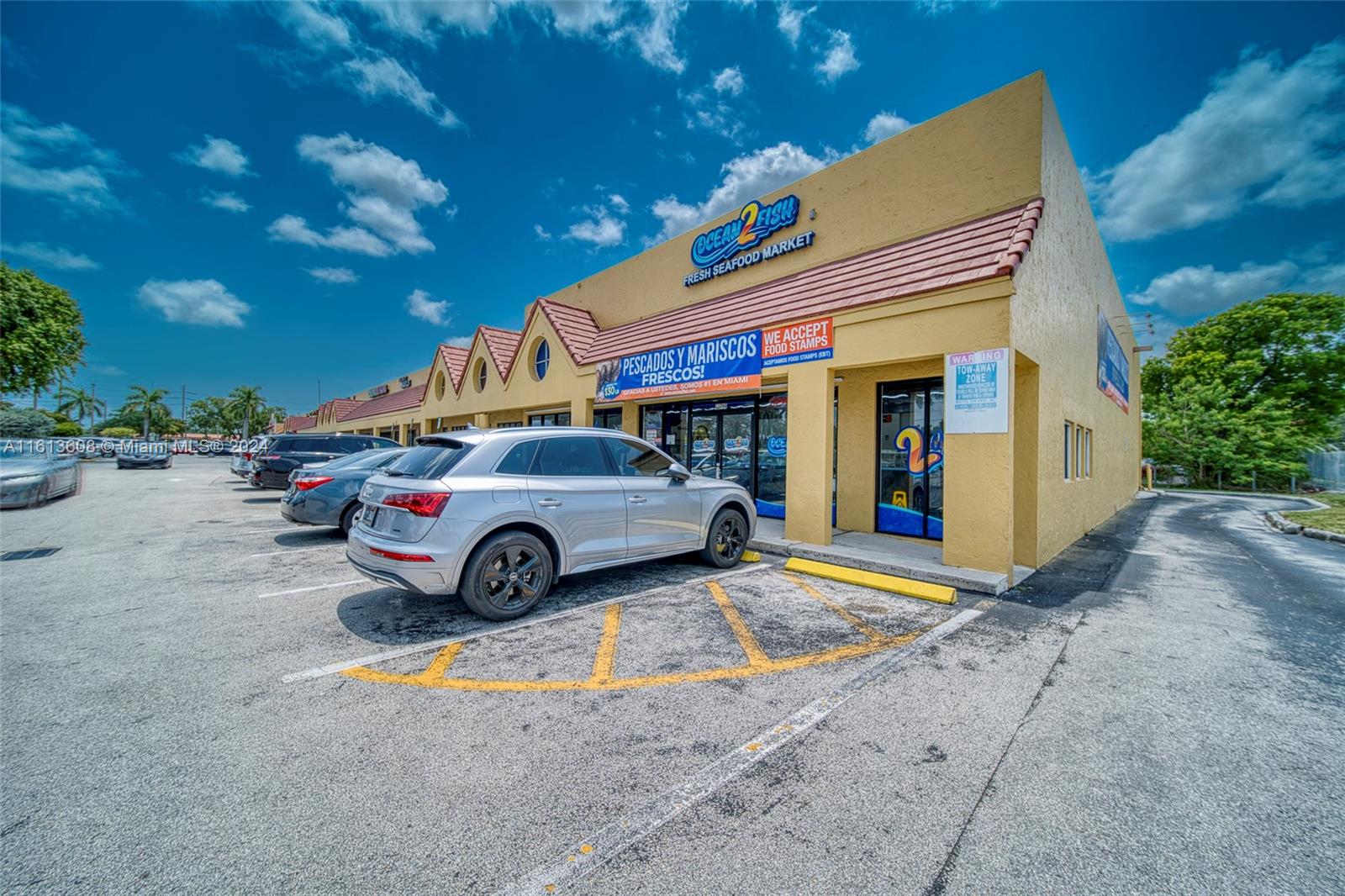 Top of The Line Fish & Seafood Market With Distribution In Miami