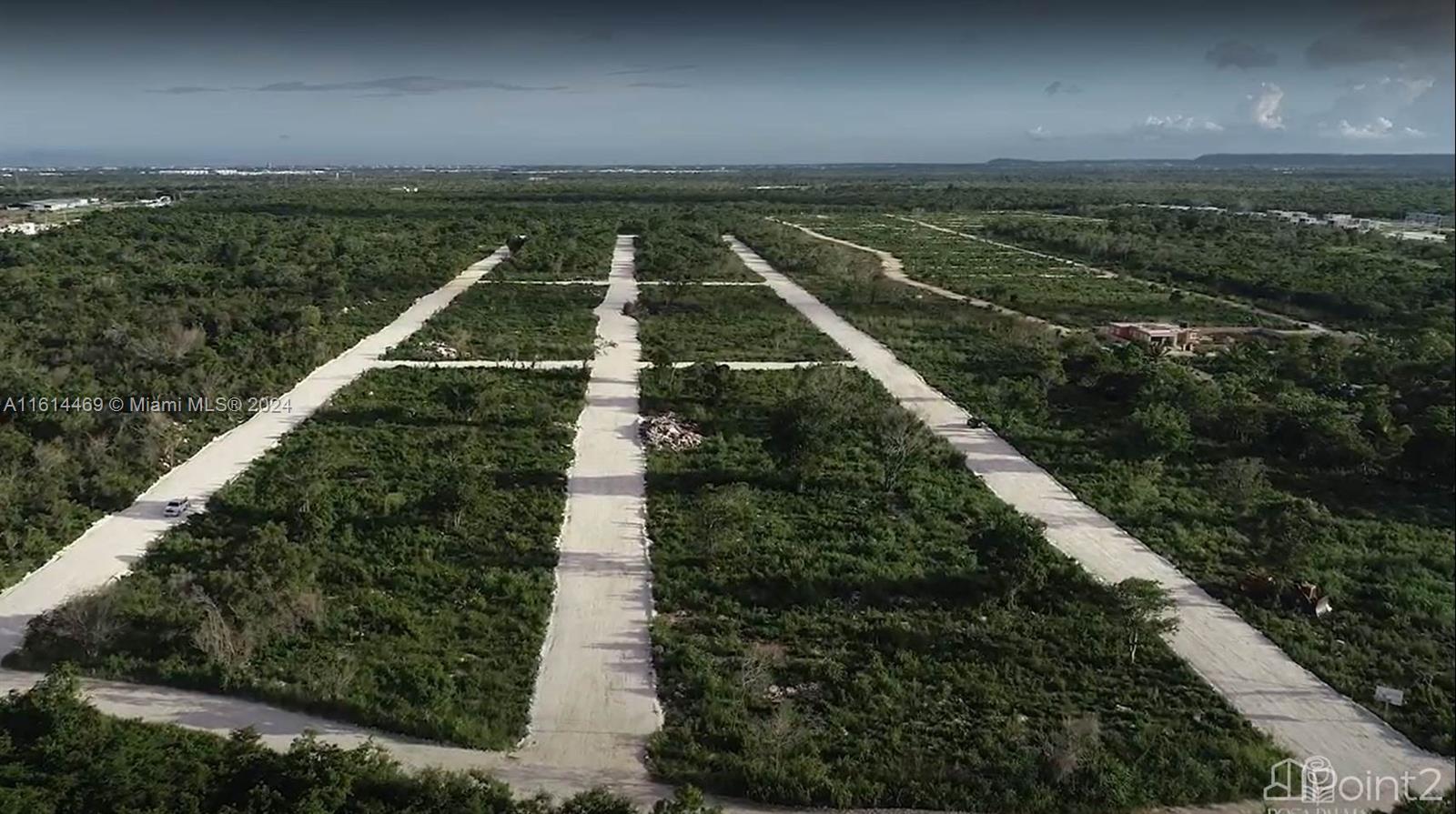 0 Jardines De Friusa
