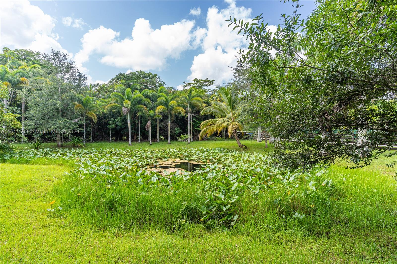 5100 SW 135th Ave, Southwest Ranches, Florida image 38