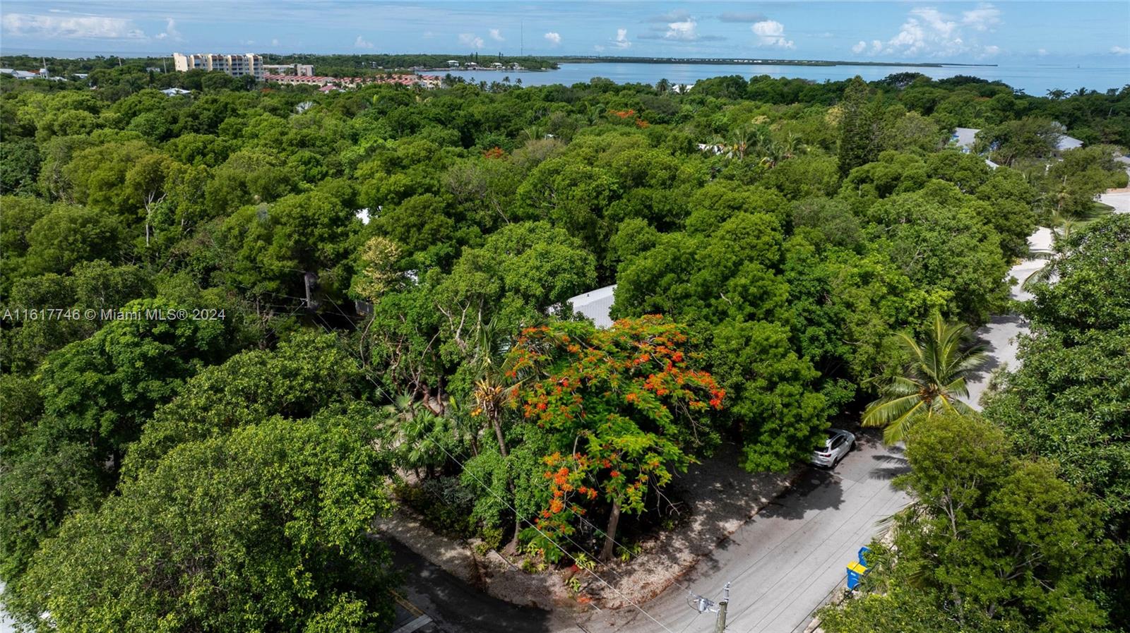 Residential, Plantation Key, Florida image 31