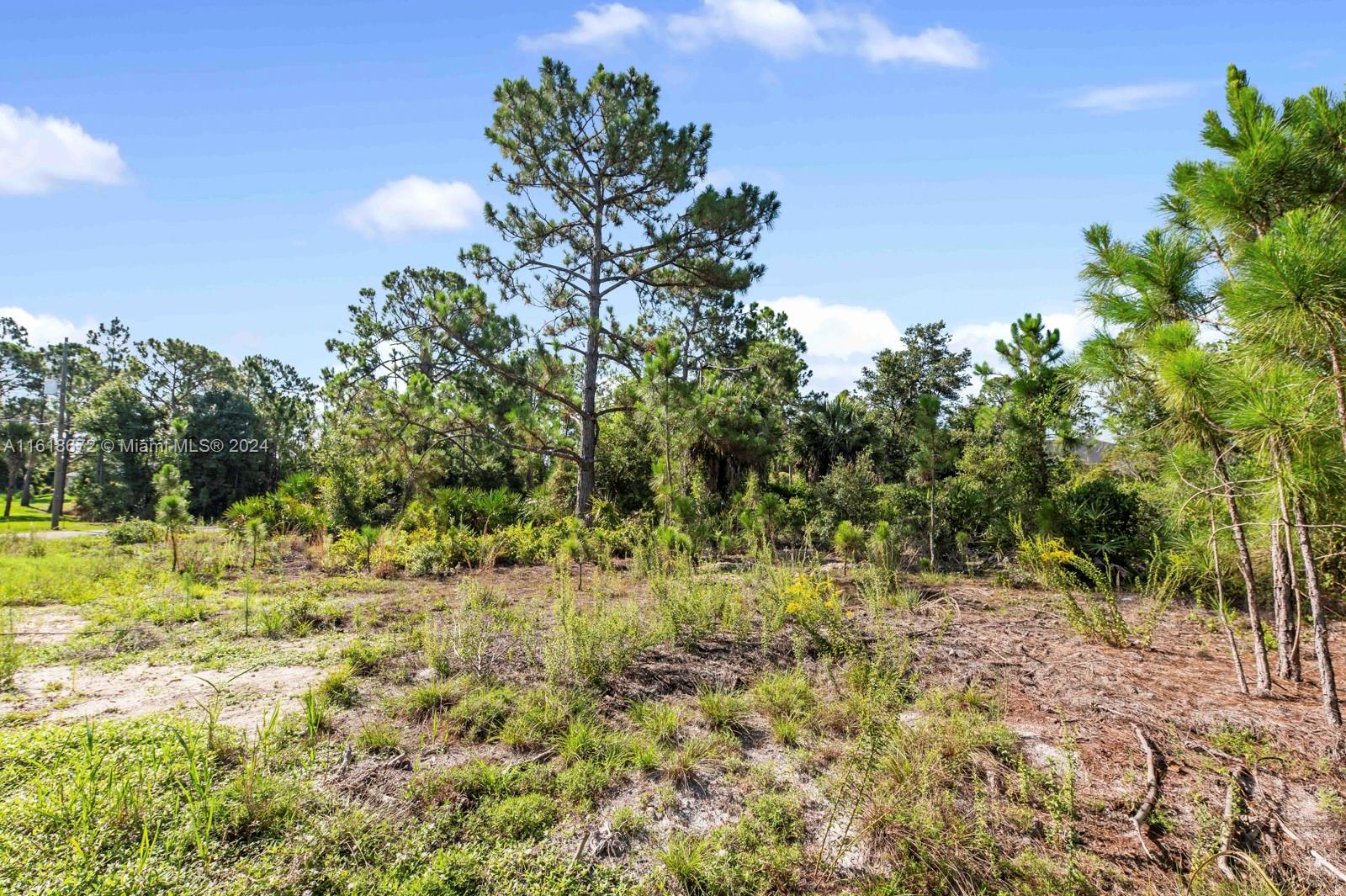 4661 Forlano, North Port, Florida image 41