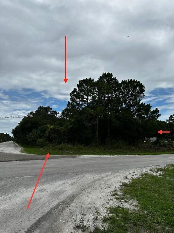 685 N Cabbage Palm St, Clewiston, Florida image 1