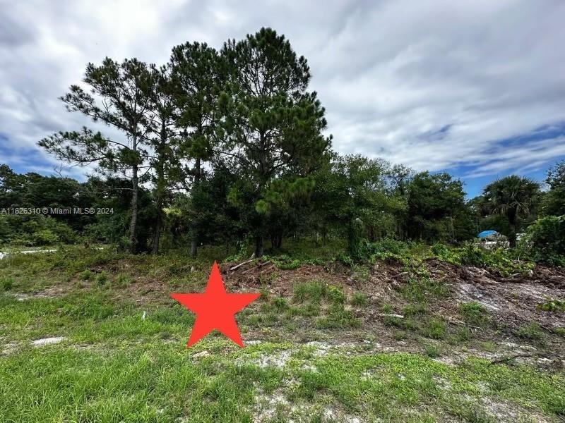 685 N Cabbage Palm St, Clewiston, Florida image 6