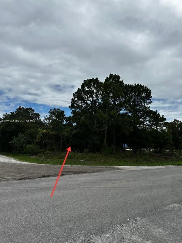 685 N Cabbage Palm St, Clewiston, Florida image 9