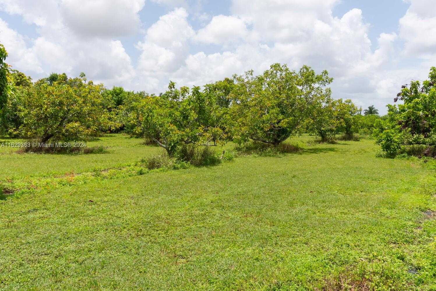 33445 SW 210th Ave, Homestead, Florida image 4