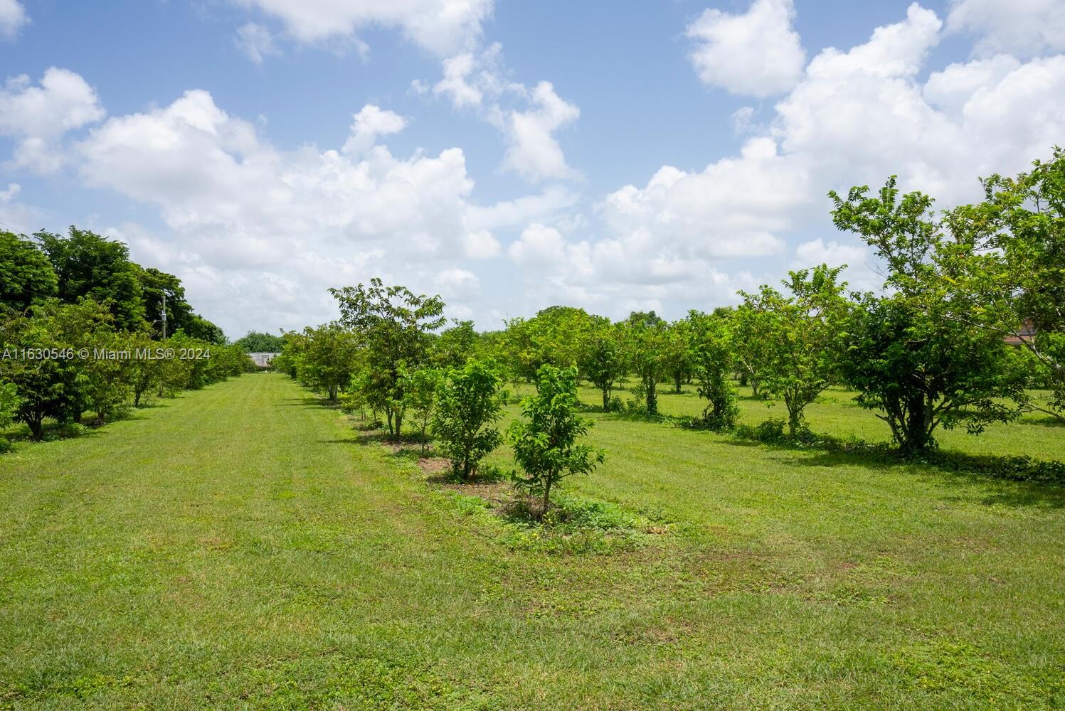 33445 SW 210th Ave, Homestead, Florida image 7