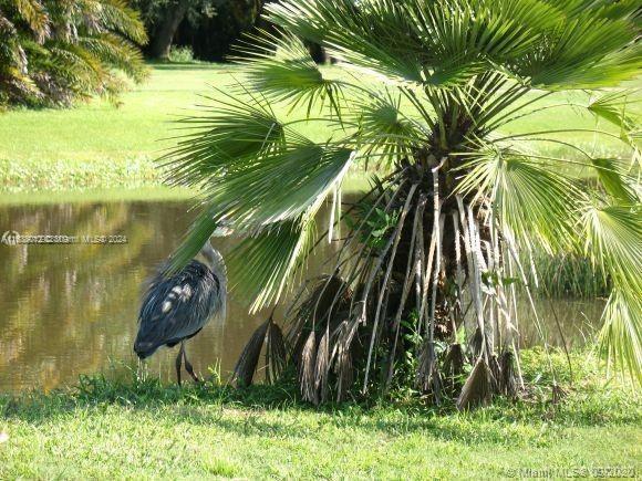 466 Rewing St, Lehigh Acres, Florida image 39