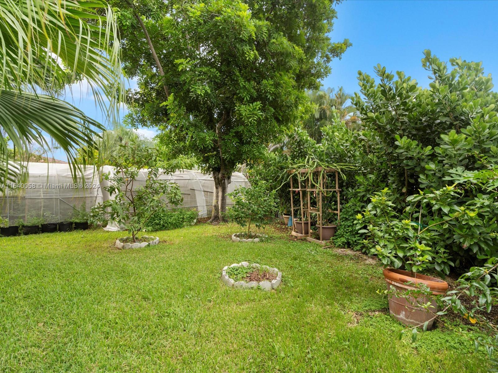 16621 Royal Poinciana Ct, Weston, Florida image 16