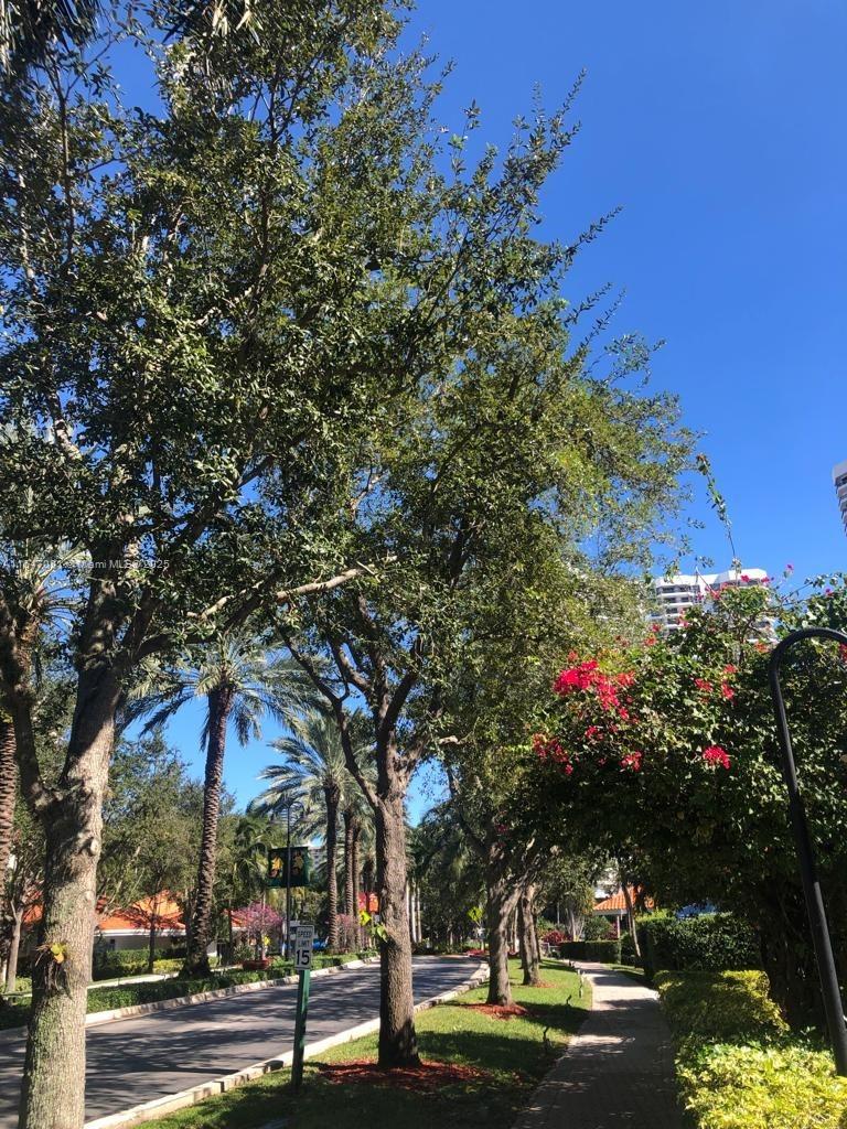 3530 Mystic Pointe Dr #1711, Aventura FL 33180