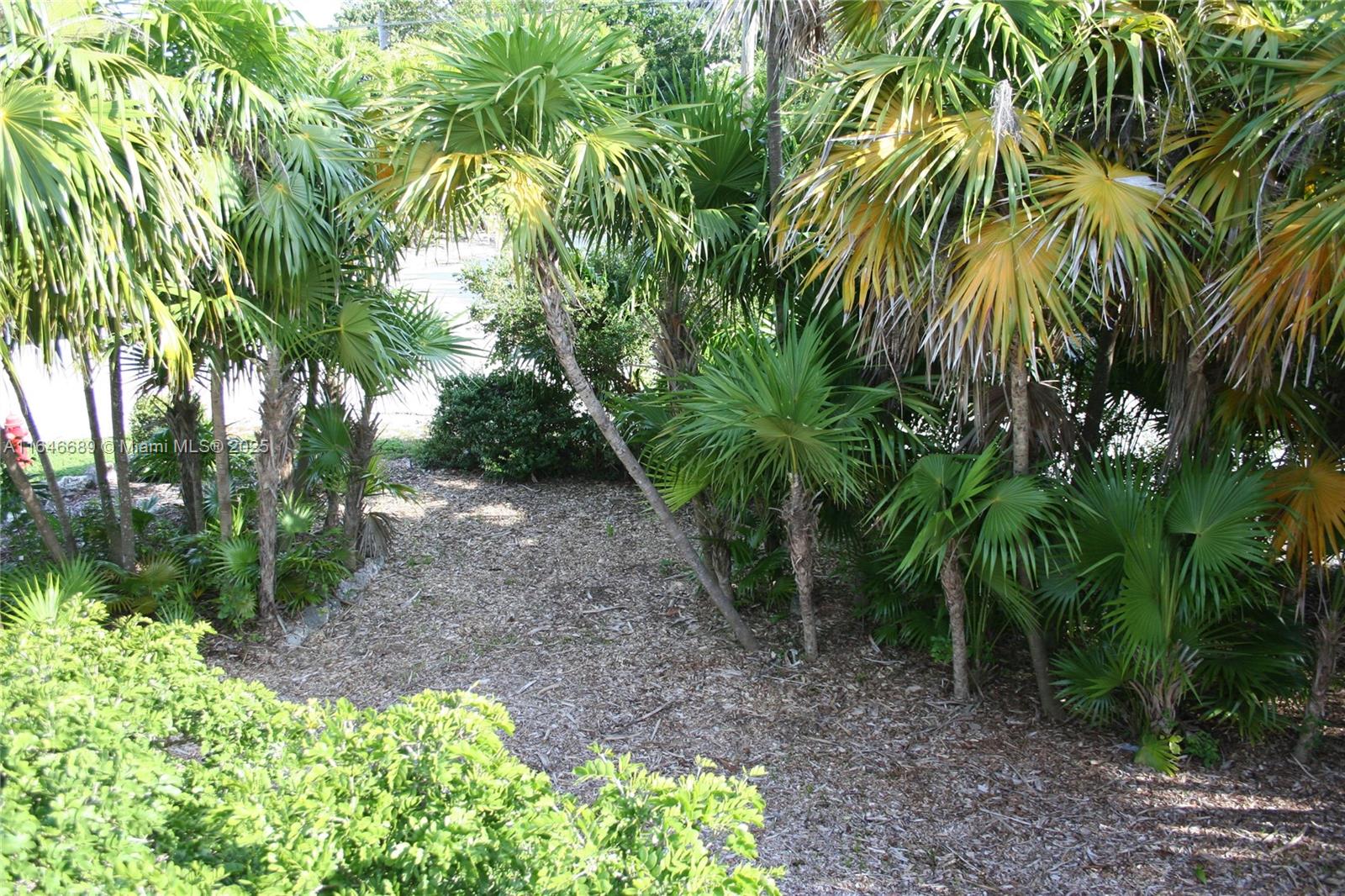 Residential, Marathon, Florida image 14