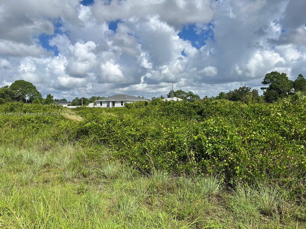 753 Phelps, Lehigh Acres, Florida image 9