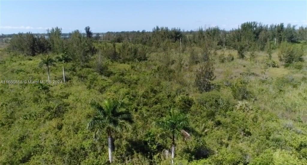 SW 388 St, Homestead, Florida image 2