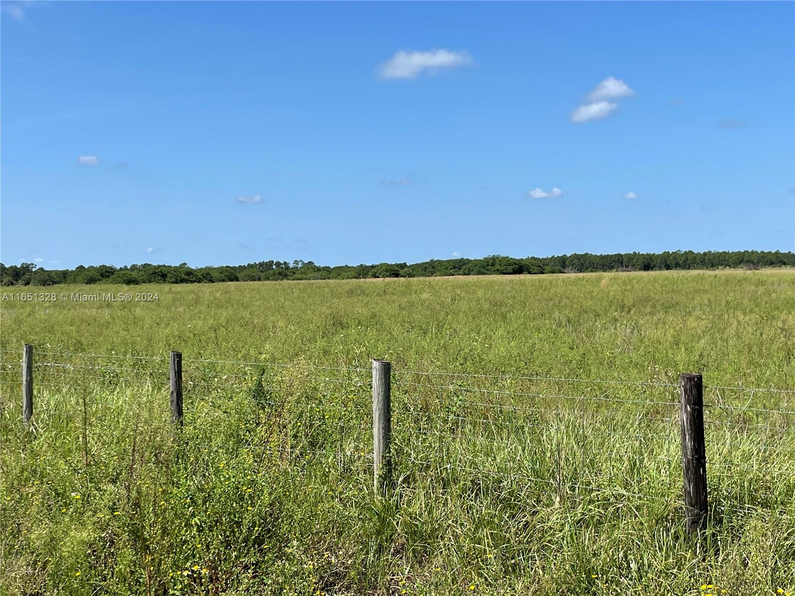 2516 Christopher Lane, Clewiston, Florida image 3