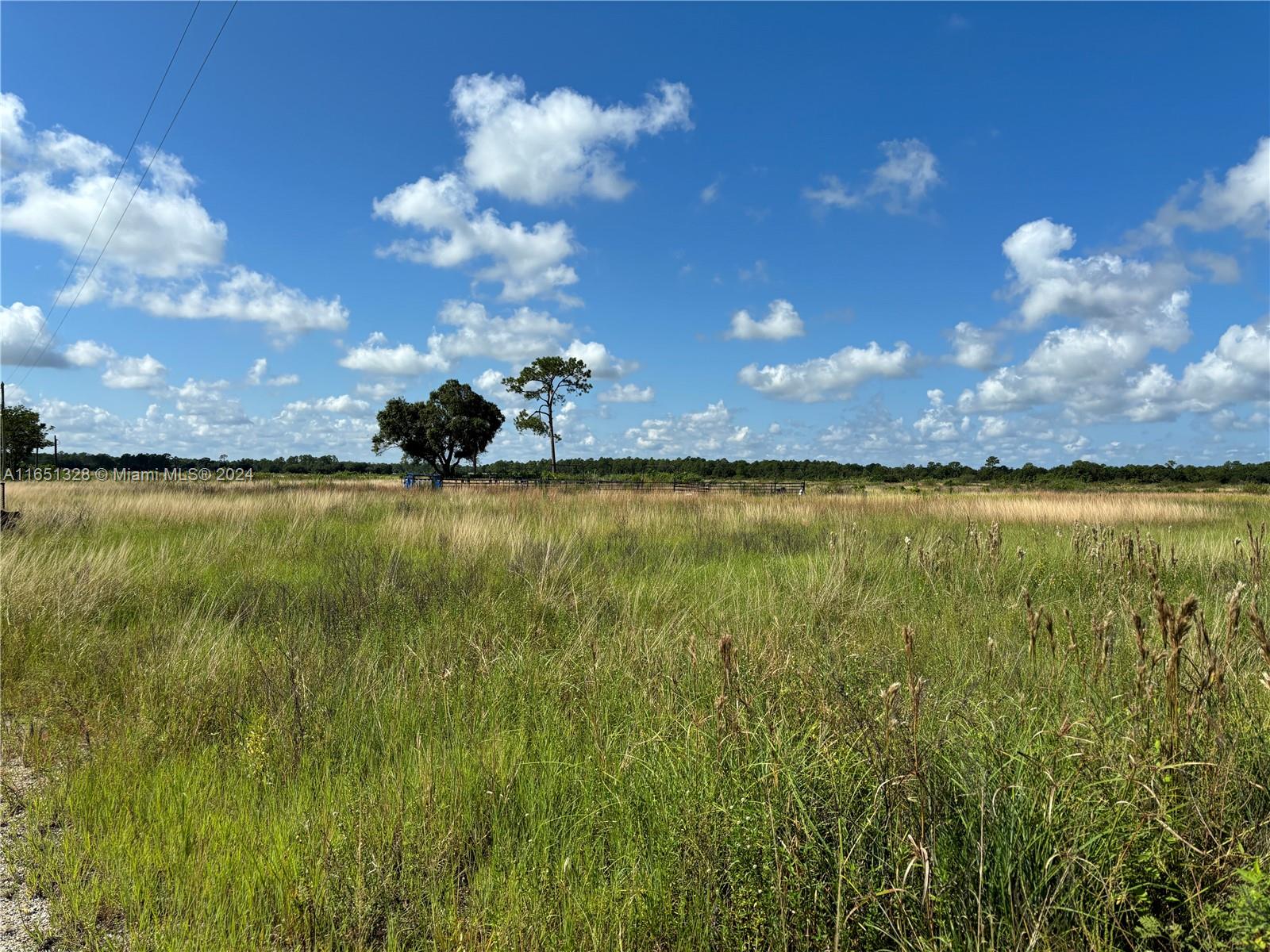 2516 Christopher Lane, Clewiston, Florida image 5