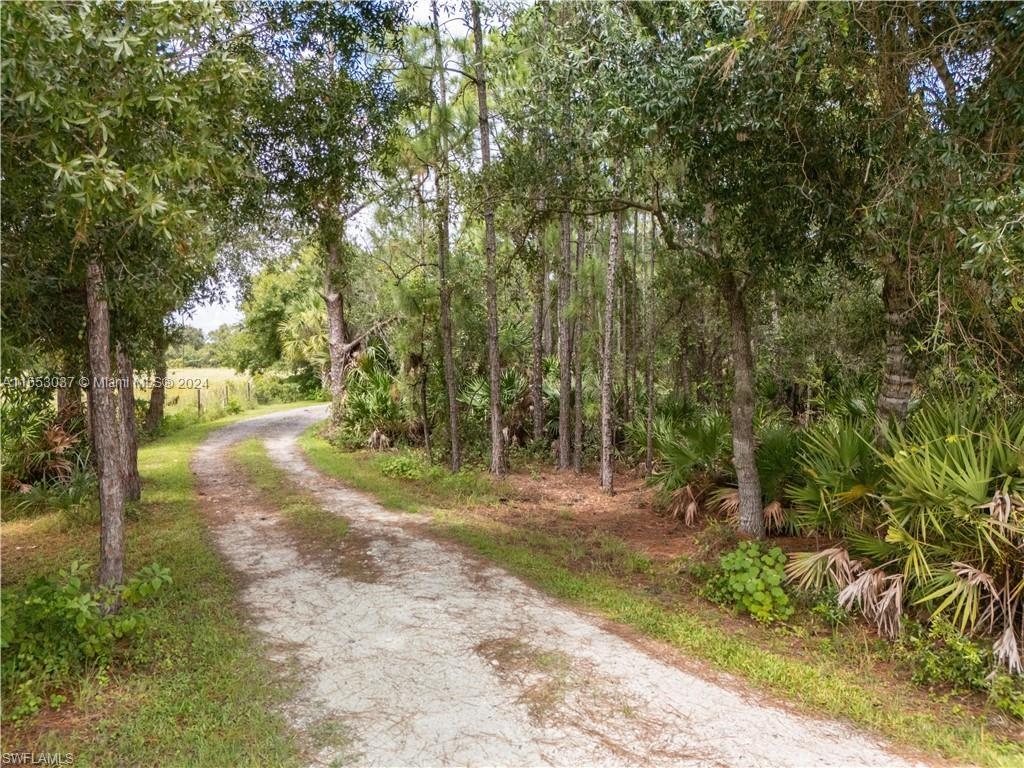 4389 Kirby Thompson Road, Other City - In The State Of Florida, Florida image 6