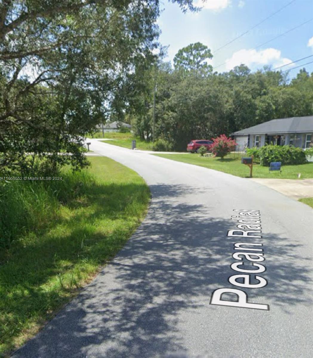 Unknown Pecan Radial, Ocala, Florida image 1