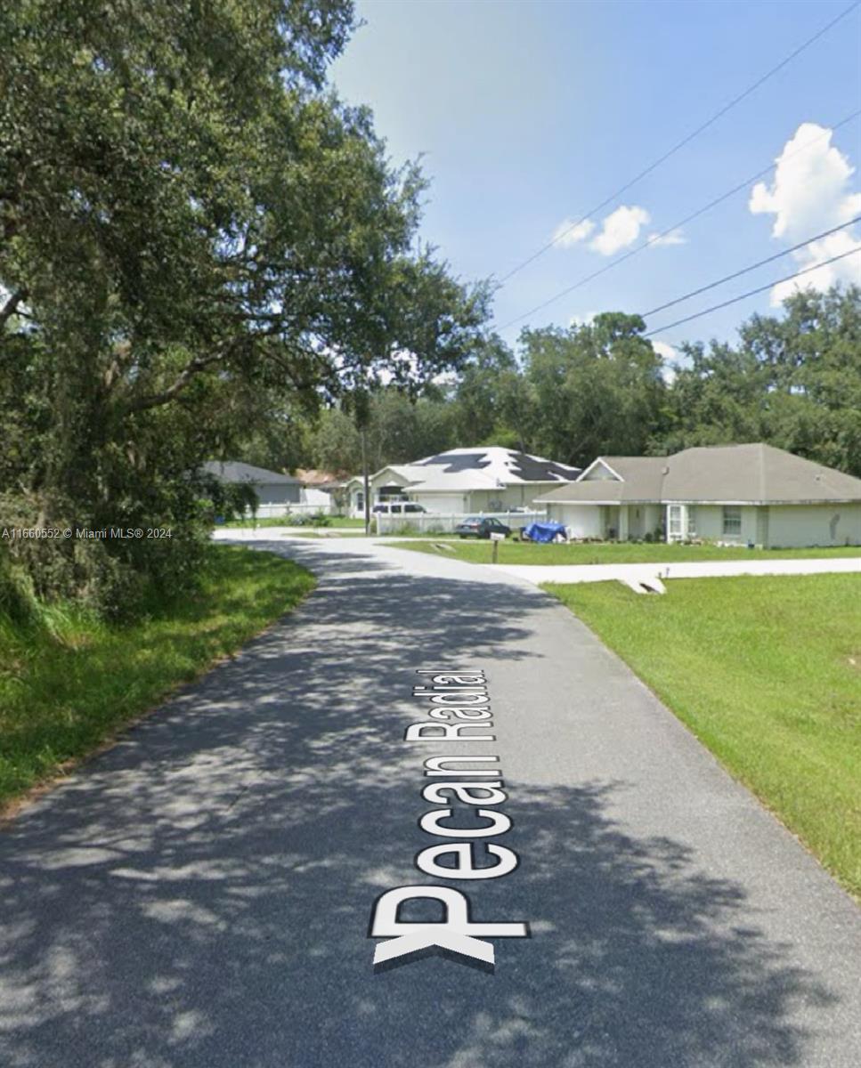 Unknown Pecan Radial, Ocala, Florida image 3