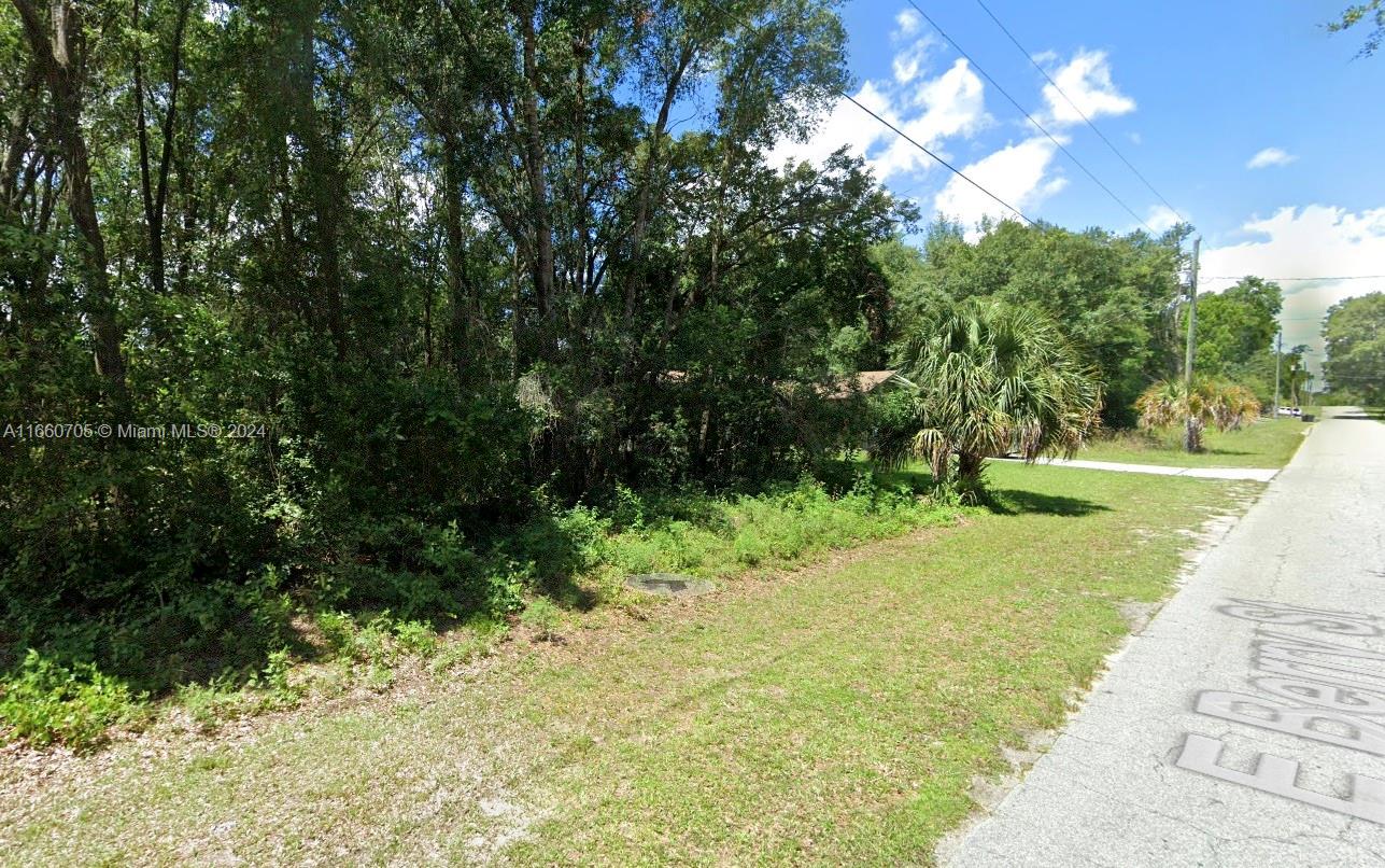 4102 E Berry St, Inverness, Florida image 1