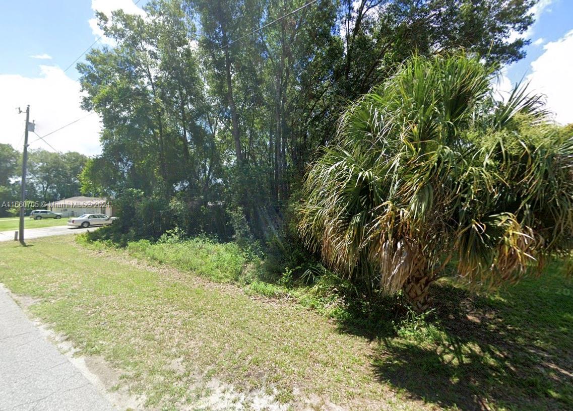 4102 E Berry St, Inverness, Florida image 5