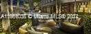 1300 Brickell Bay Dr #808, Miami FL 33131