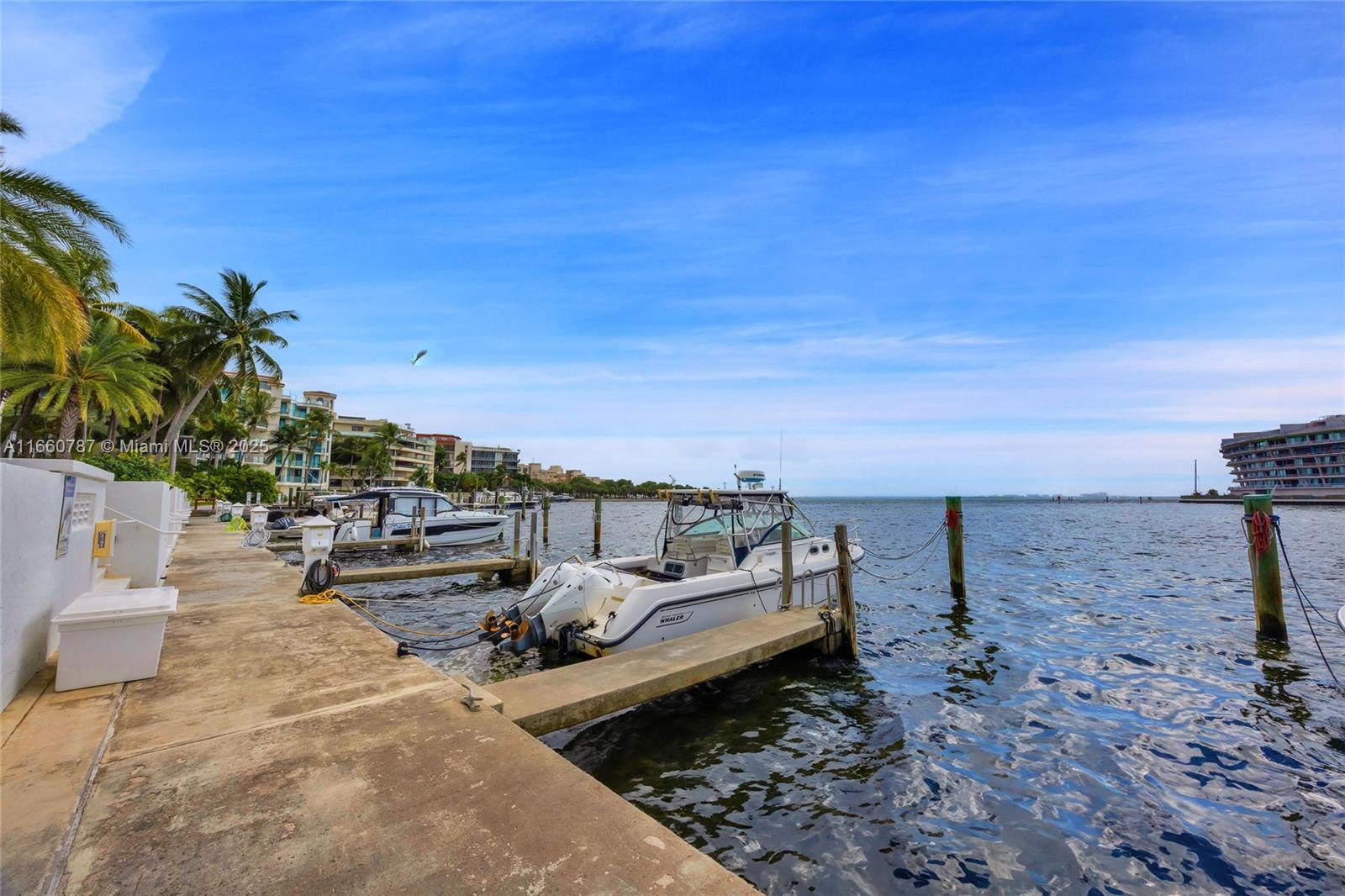 1600 S Bayshore Ln #8D, Coconut Grove, Florida image 4