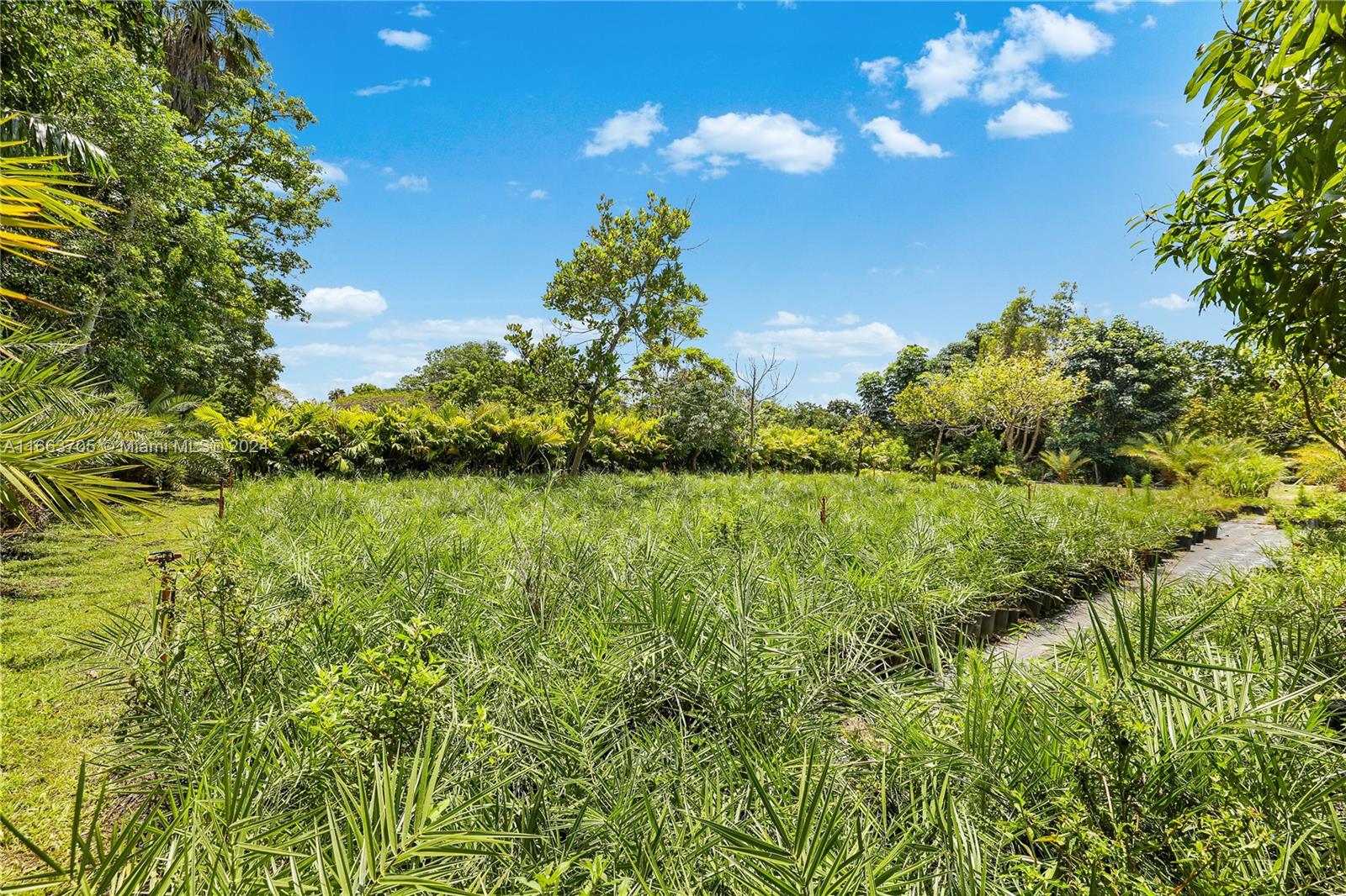 5960 SW 190th Ave, Southwest Ranches, Florida image 34