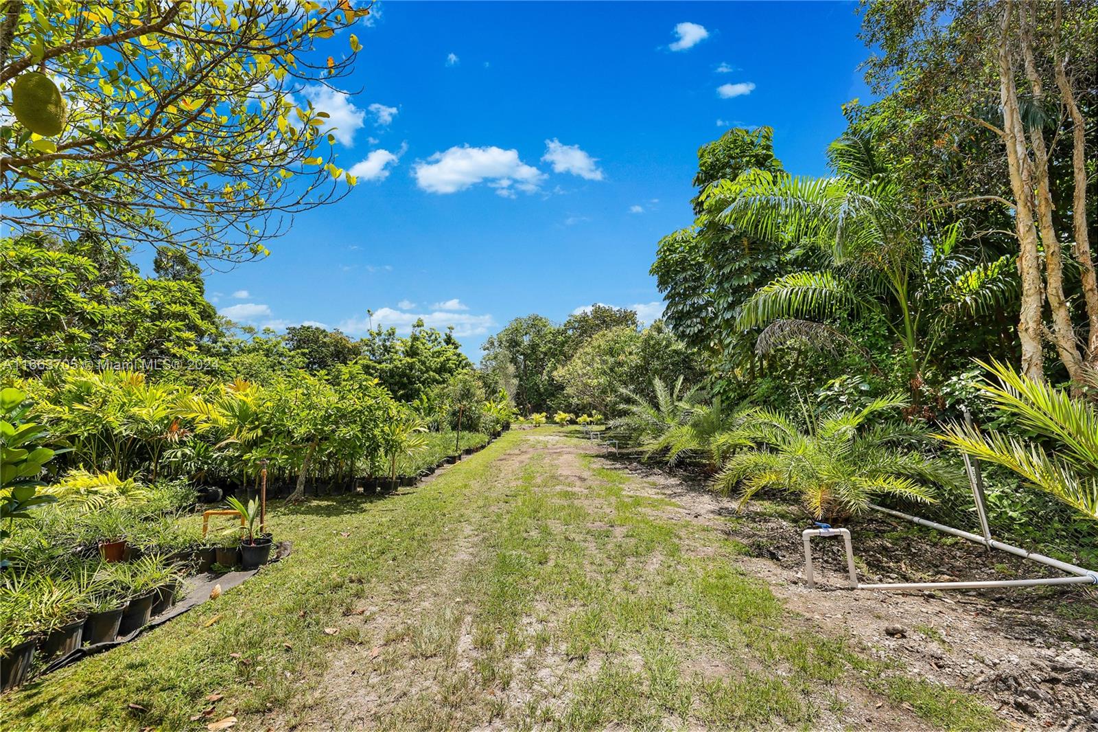 5960 SW 190th Ave, Southwest Ranches, Florida image 36