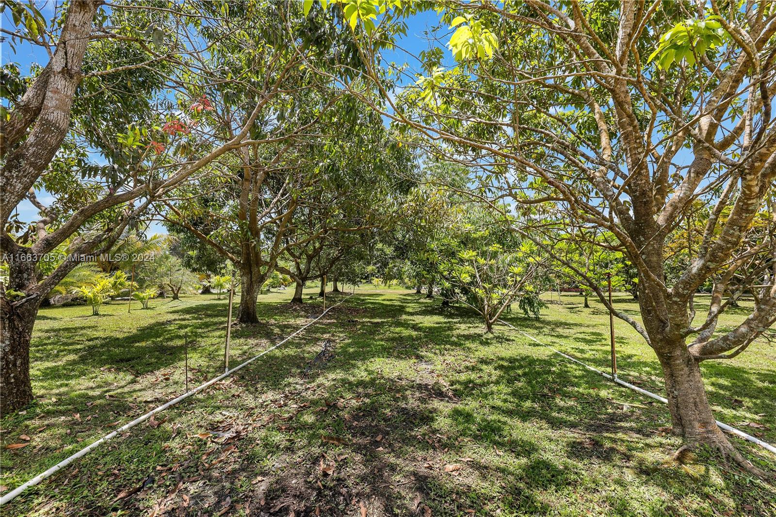 5960 SW 190th Ave, Southwest Ranches, Florida image 37