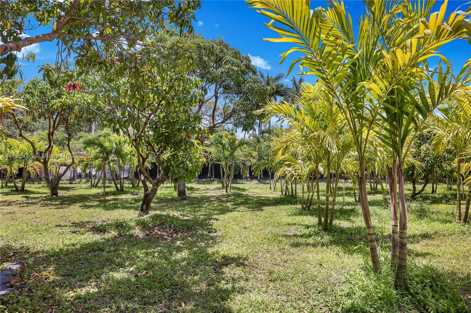 5960 SW 190th Ave, Southwest Ranches, Florida image 48