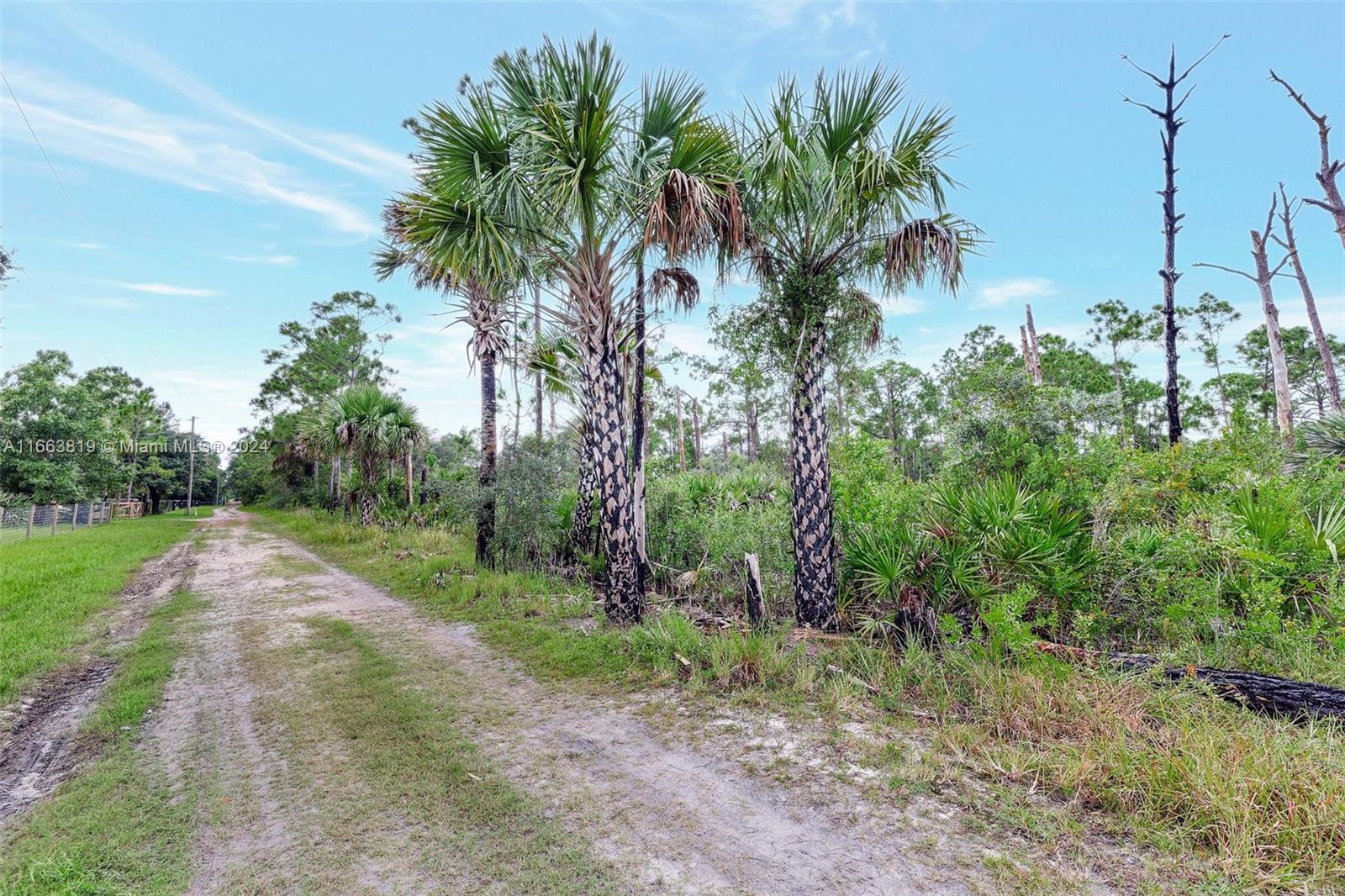 24801 SW 95th St, Indiantown, Florida image 4