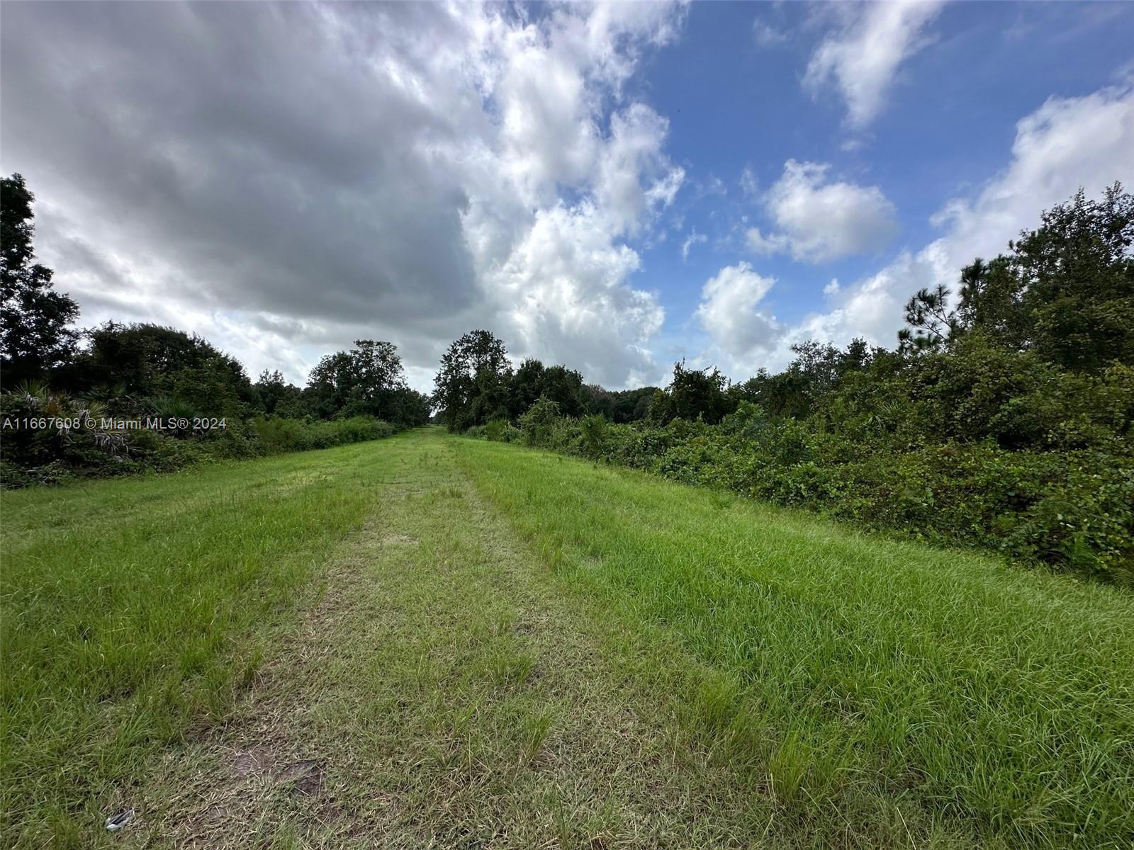 1010 S Gabriel Rd Avon Park, Avon Park, Florida image 1