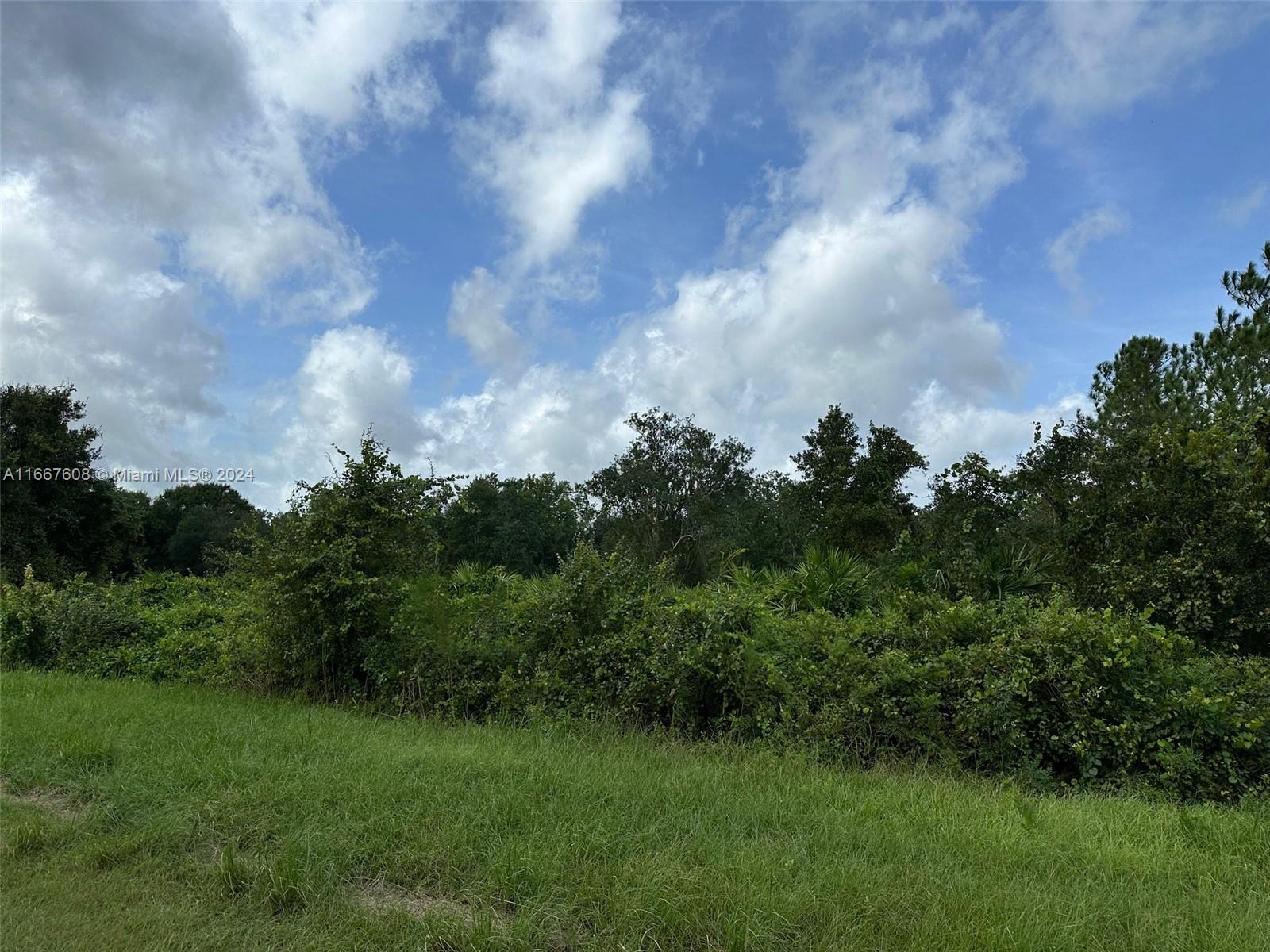 1010 S Gabriel Rd Avon Park, Avon Park, Florida image 3