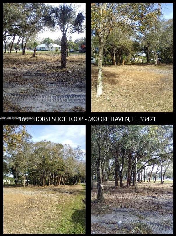 1603 Horseshoe Loop, Moore Haven, Florida image 1