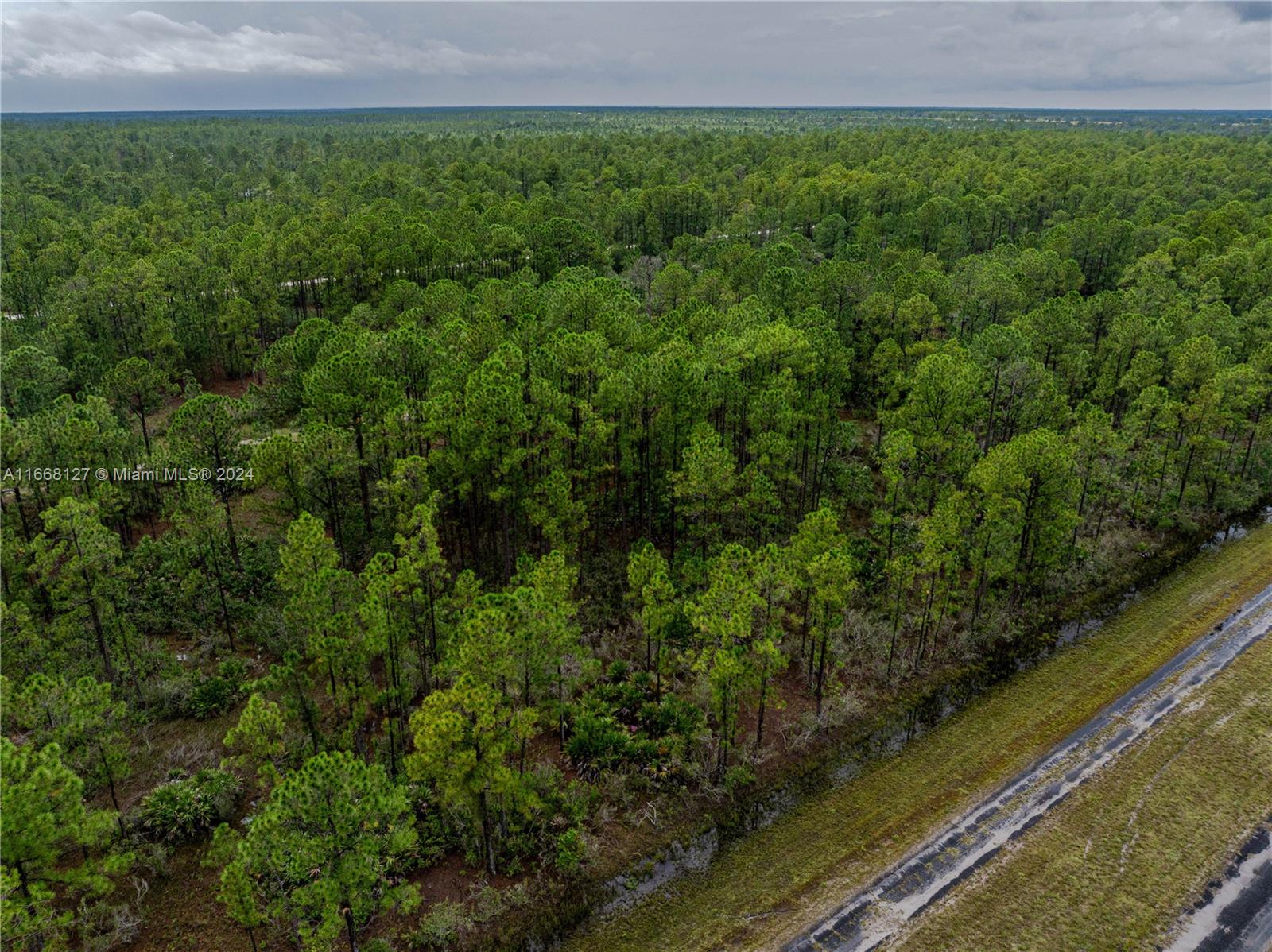 805 Japonica Ave, Lake Wales, Florida image 14