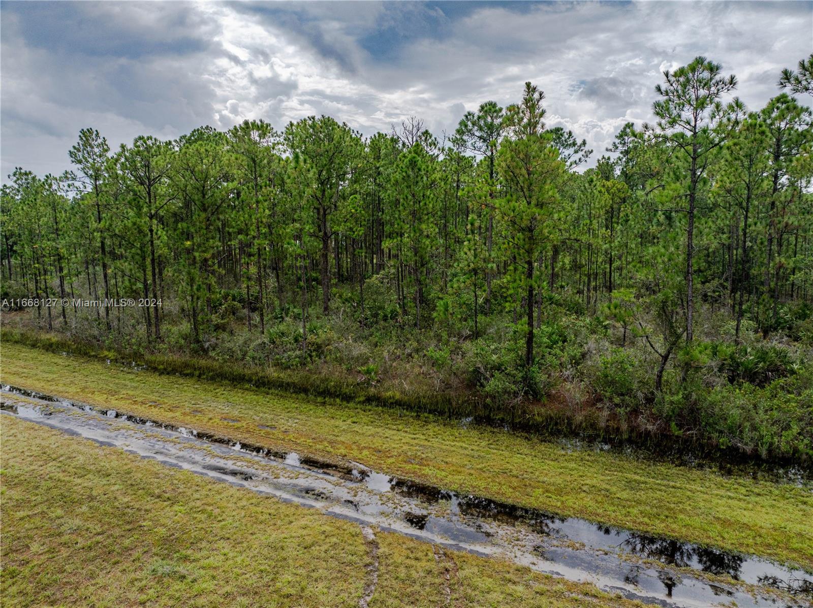 805 Japonica Ave, Lake Wales, Florida image 17