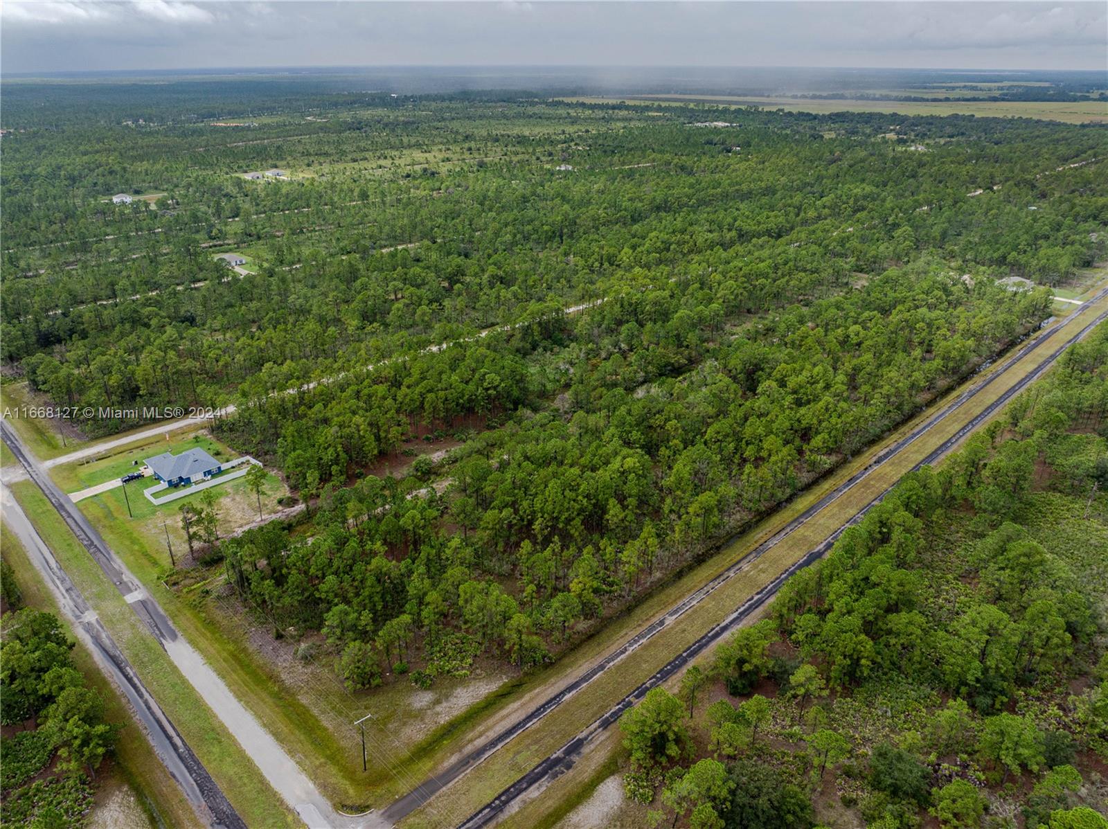 805 Japonica Ave, Lake Wales, Florida image 3