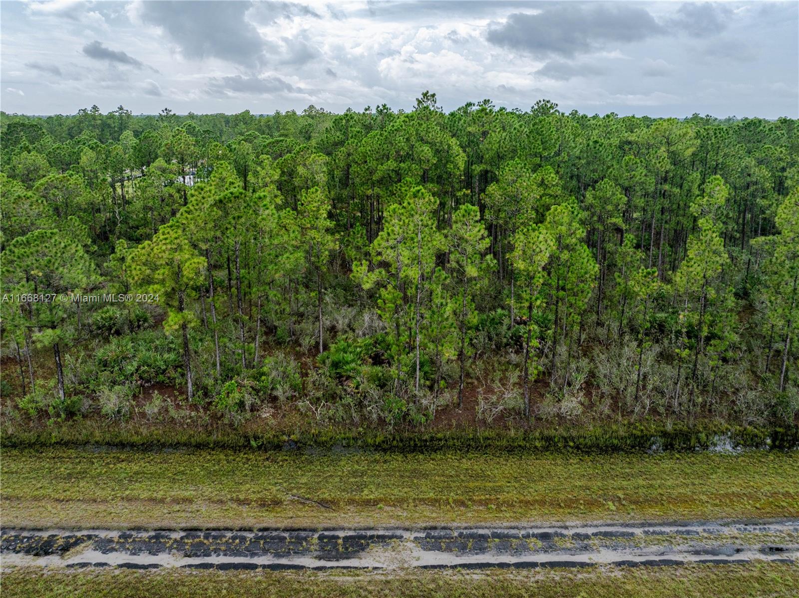 805 Japonica Ave, Lake Wales, Florida image 7