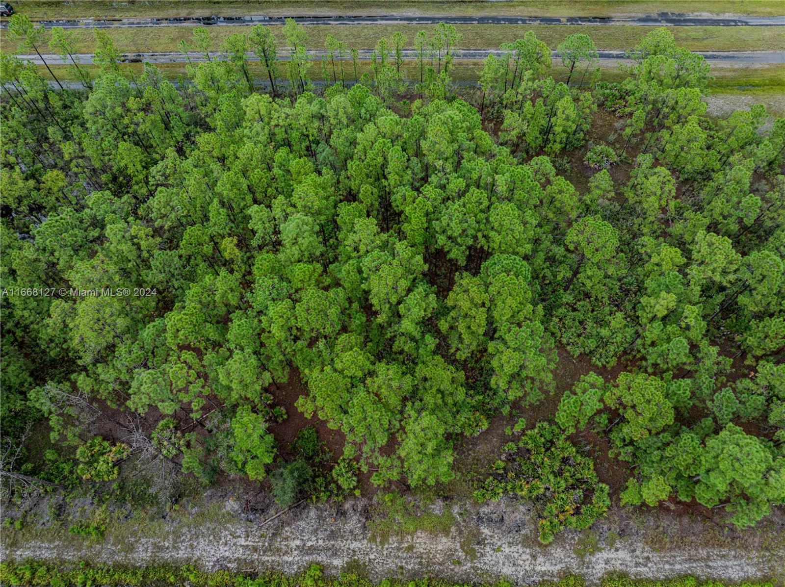 805 Japonica Ave, Lake Wales, Florida image 8