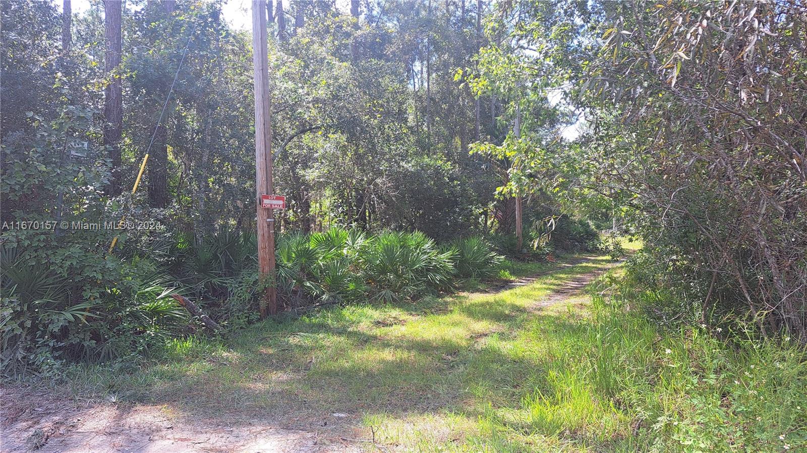 UNDETERMINED NE 42nd St, Ocala, Florida image 3