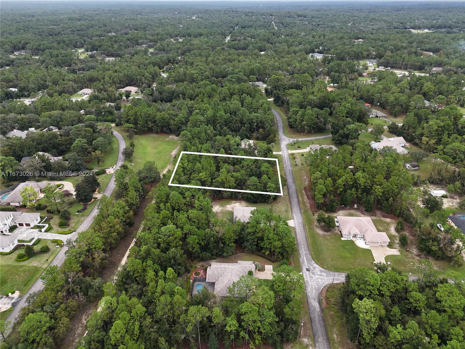 3916 N Buckwheat Pt, Citrus Springs, Florida image 8