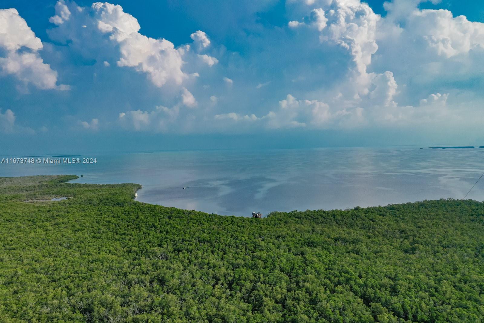 86560 Overseas Hwy, Islamorada, Florida image 5