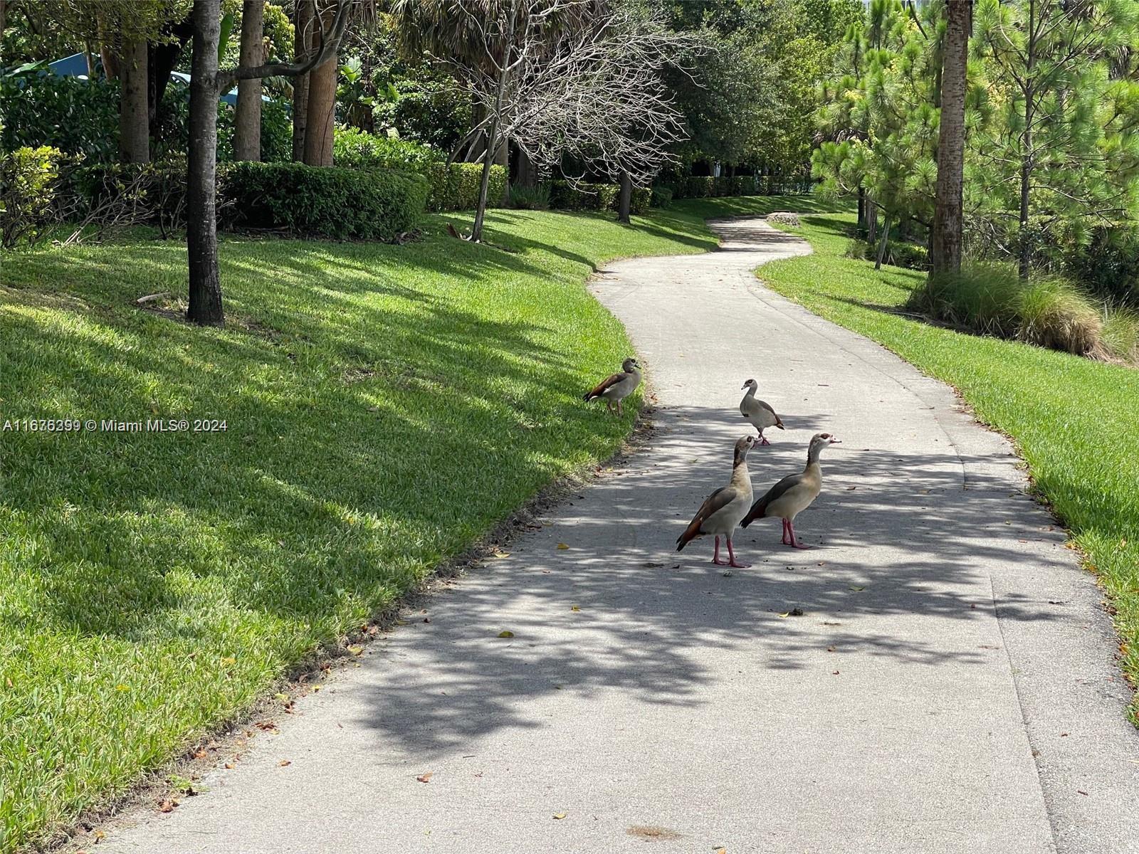 Residential, Hollywood, Florida image 37