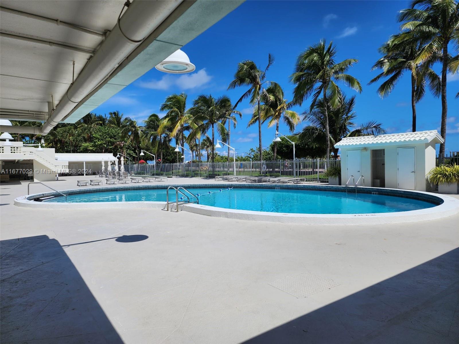 2899 Collins Ave #31, Miami Beach, Florida image 3