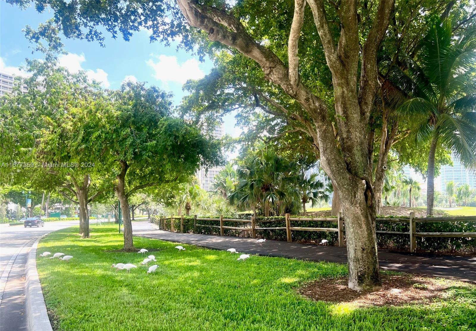 3530 Mystic Pointe Dr #1714, Aventura FL 33180