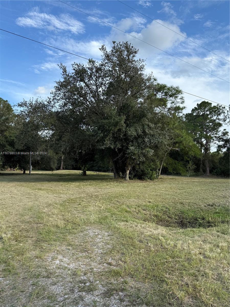 2800-1 Al Don Farming Rd, Clewiston, Florida image 16