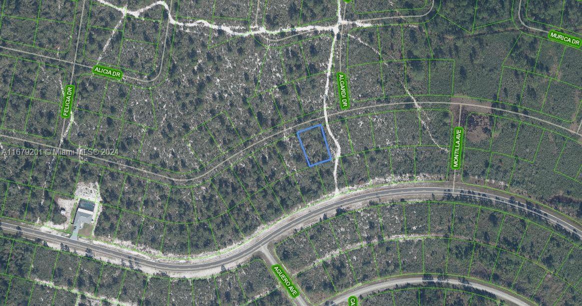 7651 Rosebud Drive, Sebring, FL, 33872 MLS A11679201 William Raveis